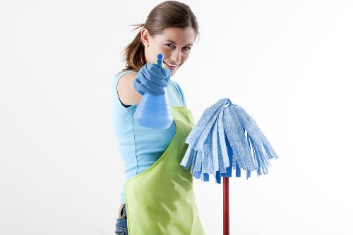 Professional cleaner tidying a modern living room in Willoughby