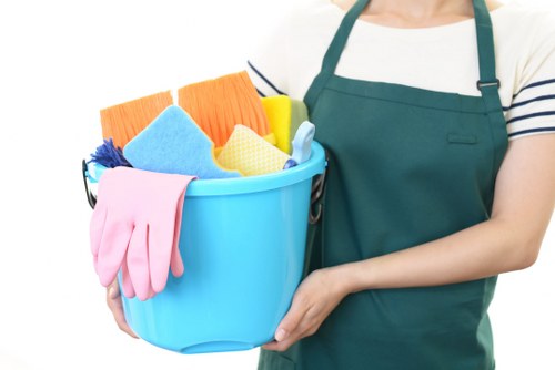 Professional cleaning team preparing to clean a rental property