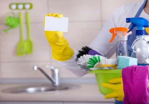 Eco-friendly cleaning products used by Willoughby house cleaners