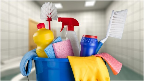 Professional house cleaning team in Canterbury