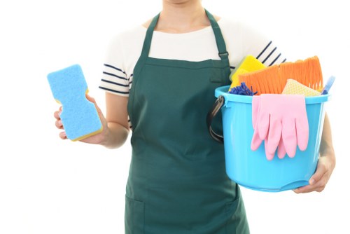 Professional house cleaning in Mill Park