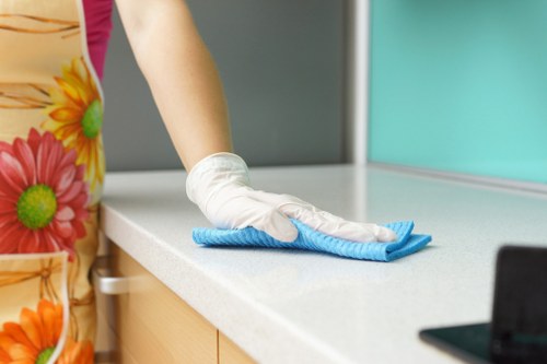 Team of cleaners performing regular house cleaning tasks