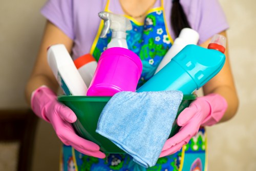 Experienced house cleaning team working in a Willoughby home