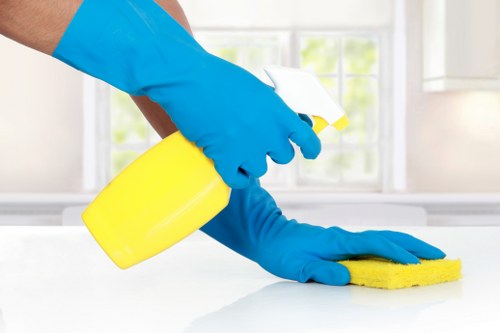 Professional house cleaning team in Collingwood