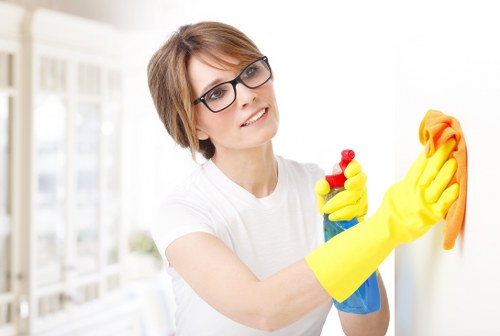 Professional house cleaning team at work in Annandale home