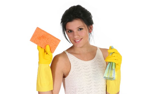 Professional house cleaner at work in Deagon