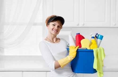 Deep cleaning services for carpets and upholstery