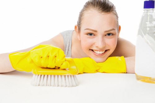 Professional house cleaning team at work in a Parramatta home