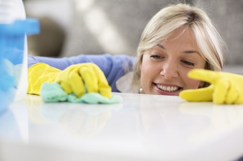 Eco-friendly cleaning products used by Banyo cleaners