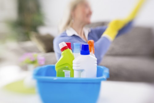 Eco-friendly cleaning supplies for a healthy home