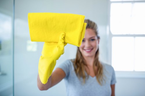 Eco-friendly cleaning products used in Deagon