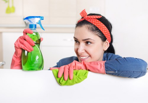 Professional cleaner sanitizing a kitchen countertop