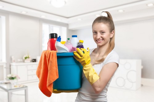 Eco-friendly cleaning supplies being used in a Wentworth Point home