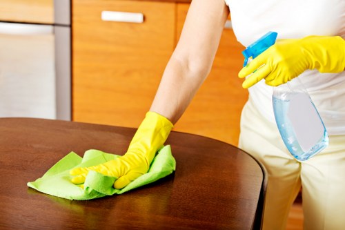 Expert cleaners maintaining a Balcatta home